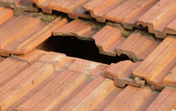 roof repair Puddaven, Devon